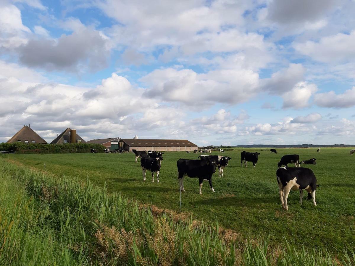 Iefjeshoeve Petten Eksteriør bilde